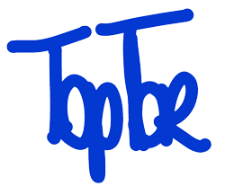Logo Topsi Torhaus